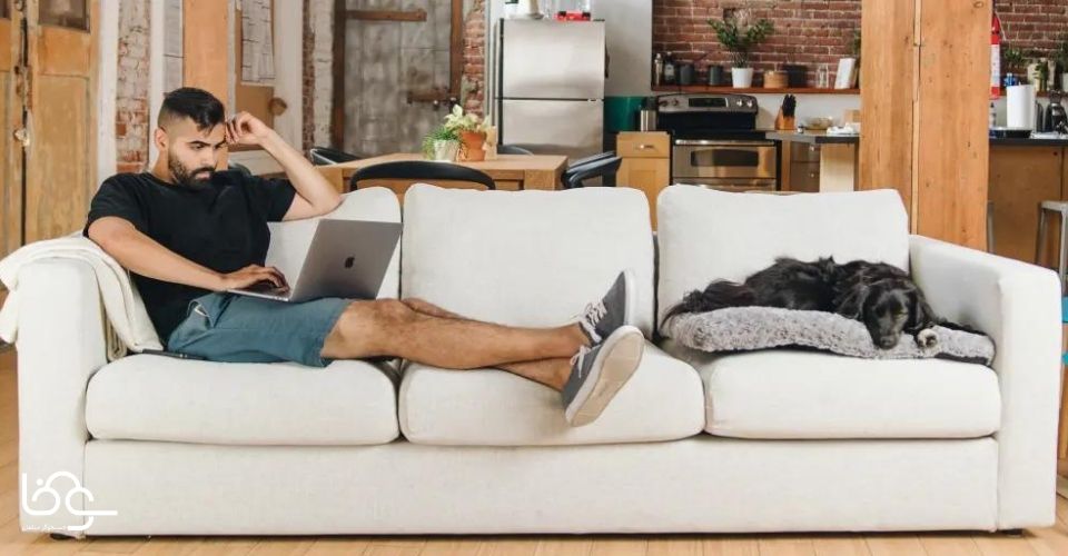 مبلمان راحتی و چستر