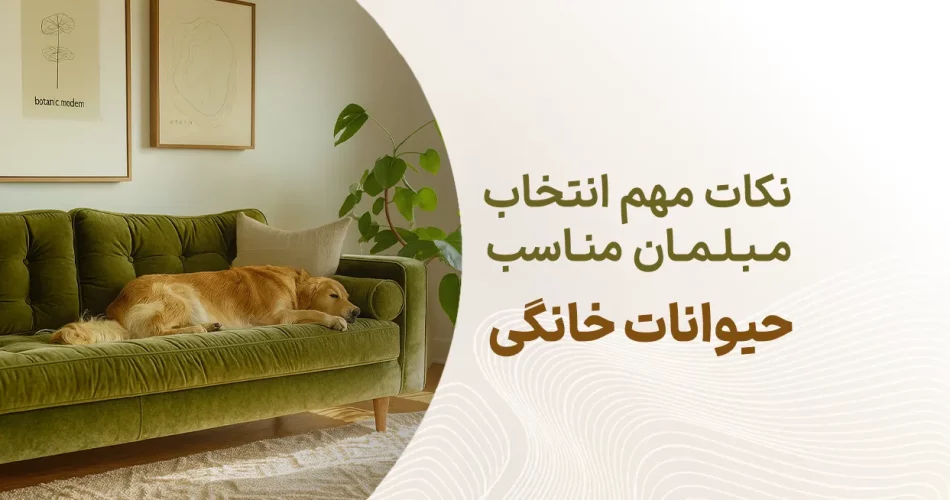 نکات مهم انتخاب مبلمان مناسب حیوانات خانگی