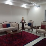 مبل کلاسیک فرانسوی چستر زواری 8 نفره